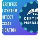 Pega logo